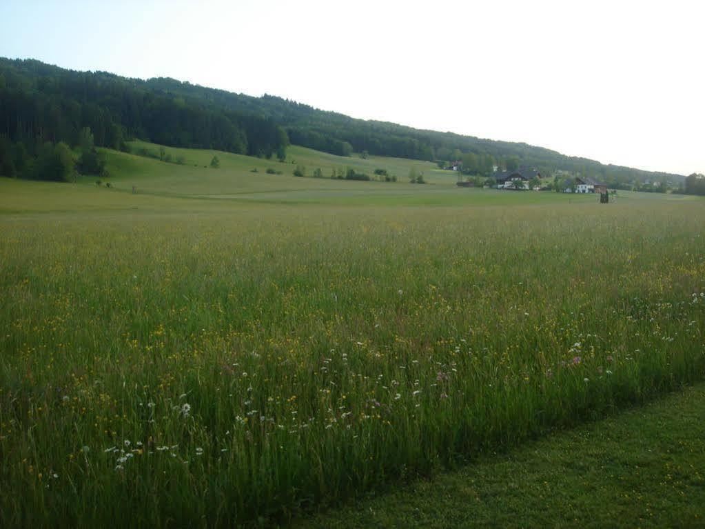 Pension Anna Mondsee Exterior foto